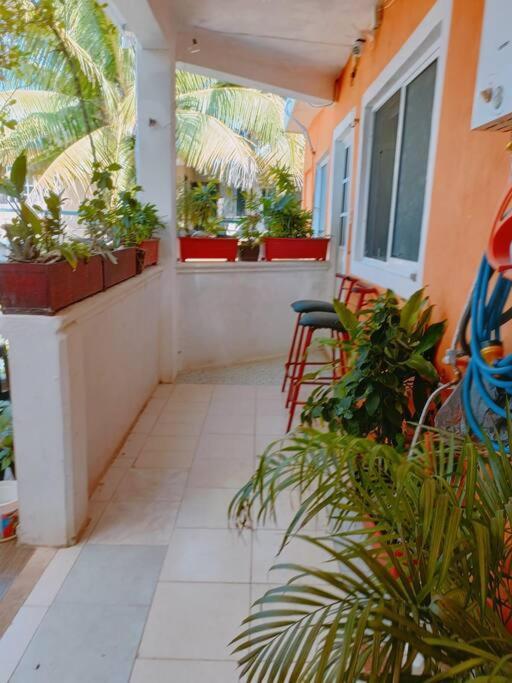 5 Estudio Planta Alta Con Terraza Appartement *