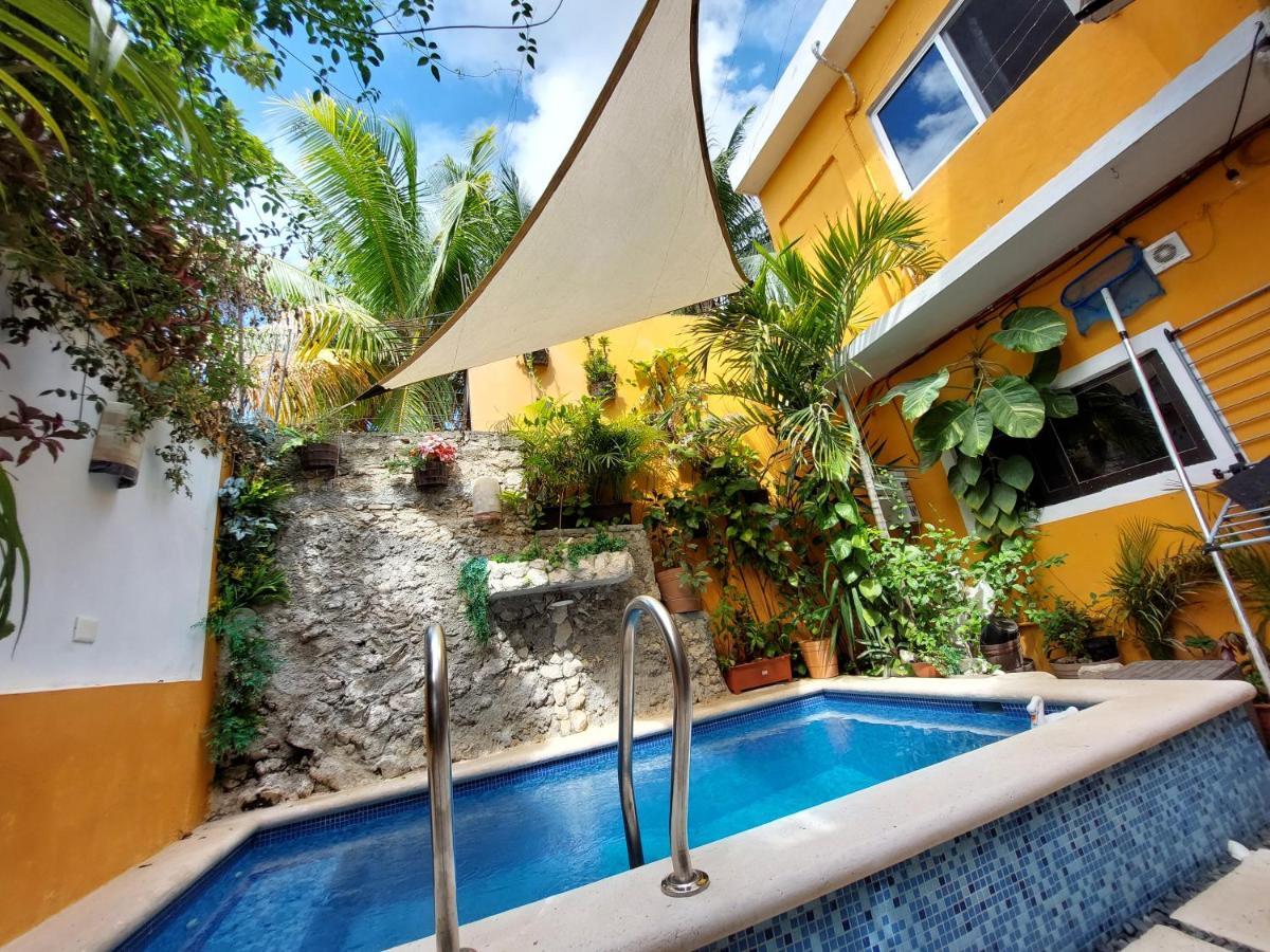 5 Estudio Planta Alta Con Terraza Apartment *